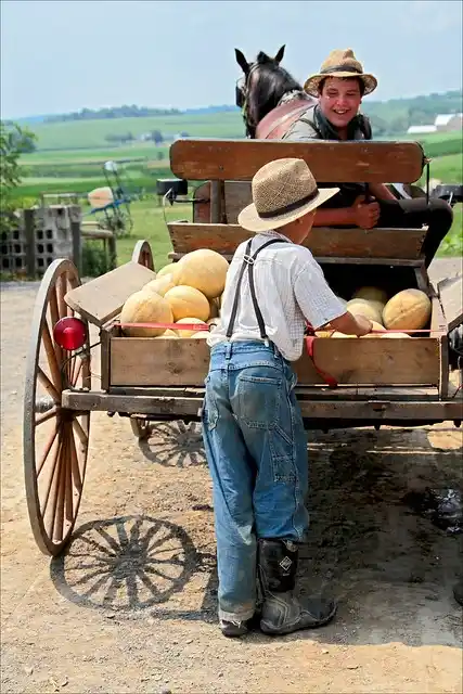 Mennonite Farmer Drug Lord